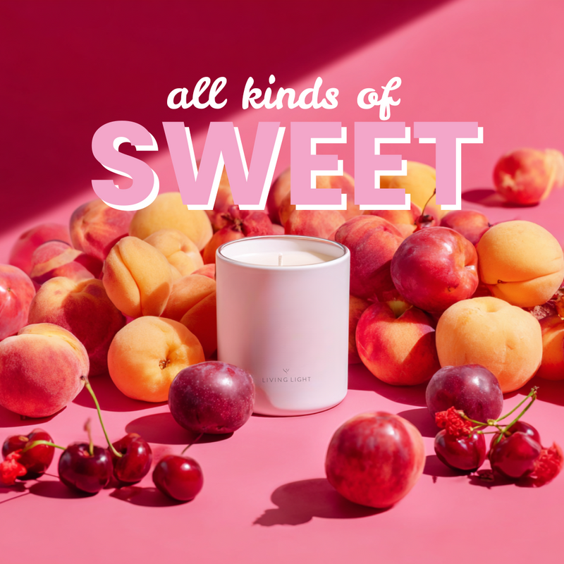 Wild Plum Soy Candles