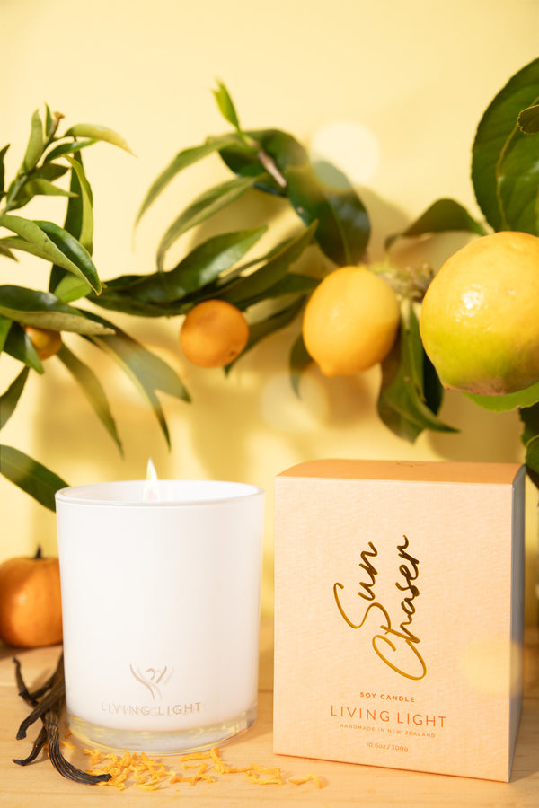 Sun Chaser Soy Candle Large