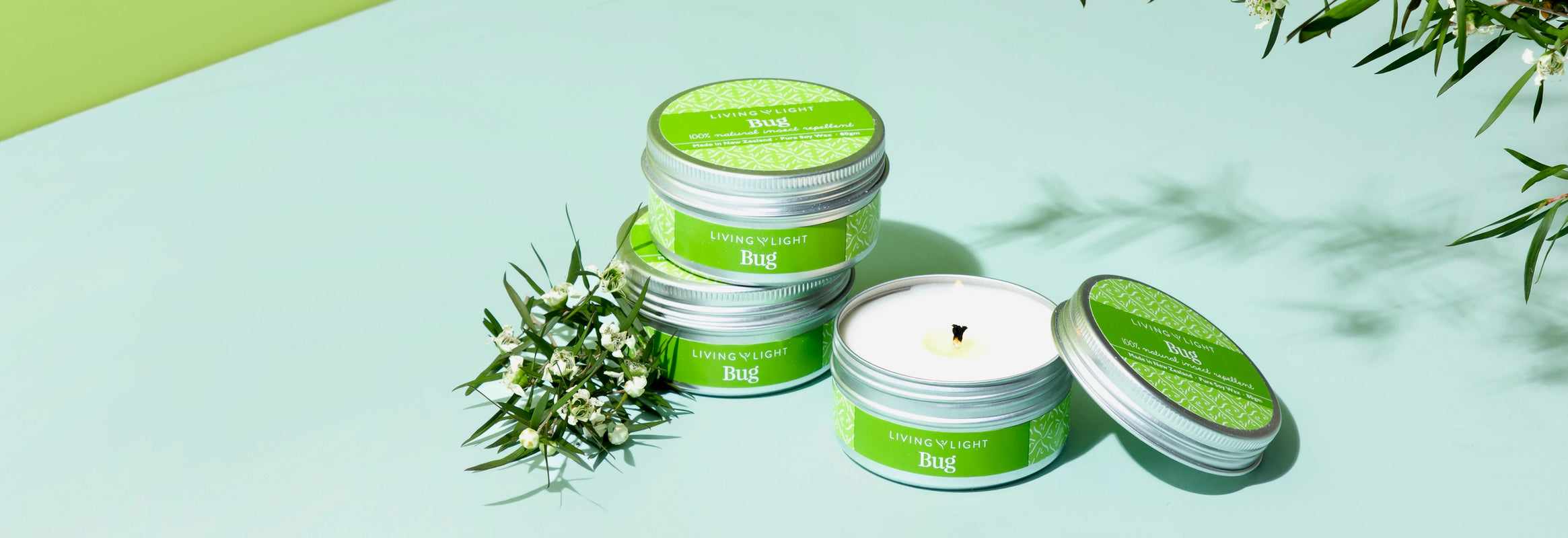 Buy New Zealand Handmade Luxury Candles & Diffusers Living Light