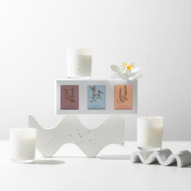 Wild Plum Candle Gift Set | Living Light 