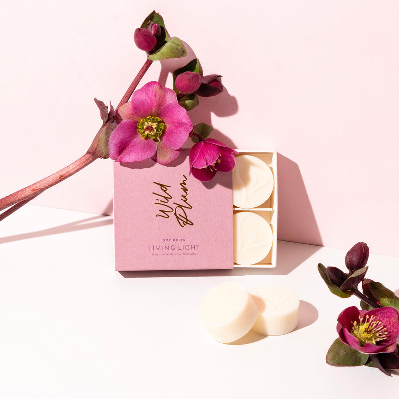 wild plum scented soy melts pack of 6 made in nz 