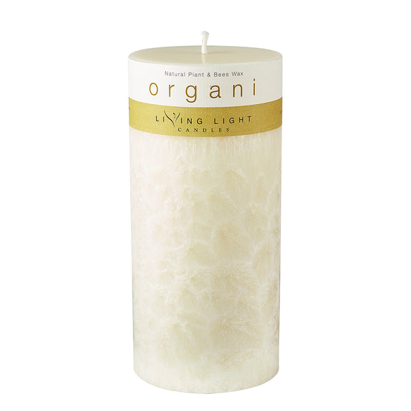 Large Fragrance Free Candle